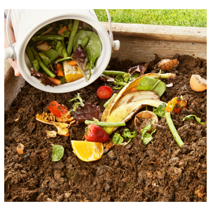 Image montrant des déchets organiques dans un bac compost